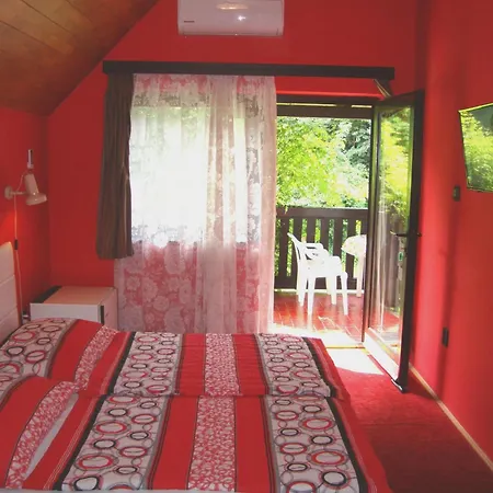 Fanni Vizkoezeli, Klimatizalt Vendeghaz *