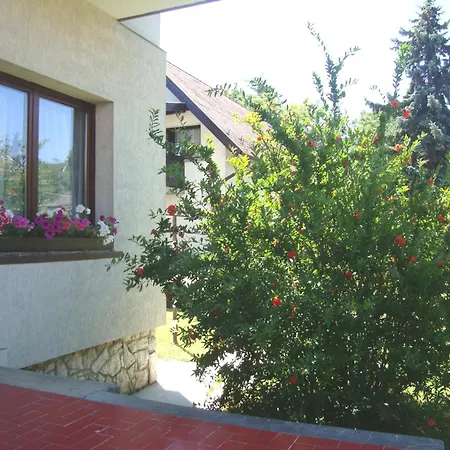 아파트 Fanni Vizkoezeli, Klimatizalt Vendeghaz