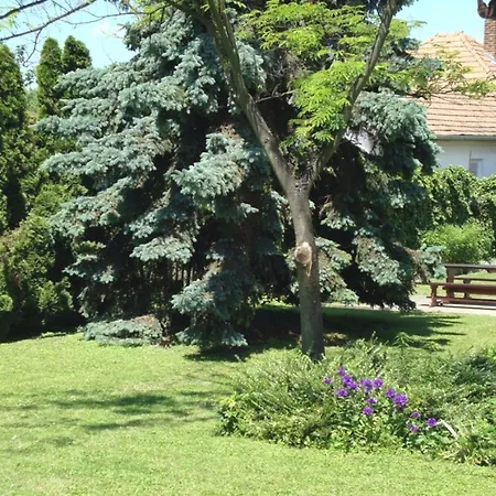 Fanni Vizkoezeli, Klimatizalt Vendeghaz *