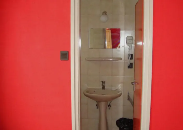 Fanni Vizkoezeli, Klimatizalt Vendeghaz *