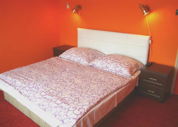 Fanni Vizkoezeli, Klimatizalt Vendeghaz Apartmán