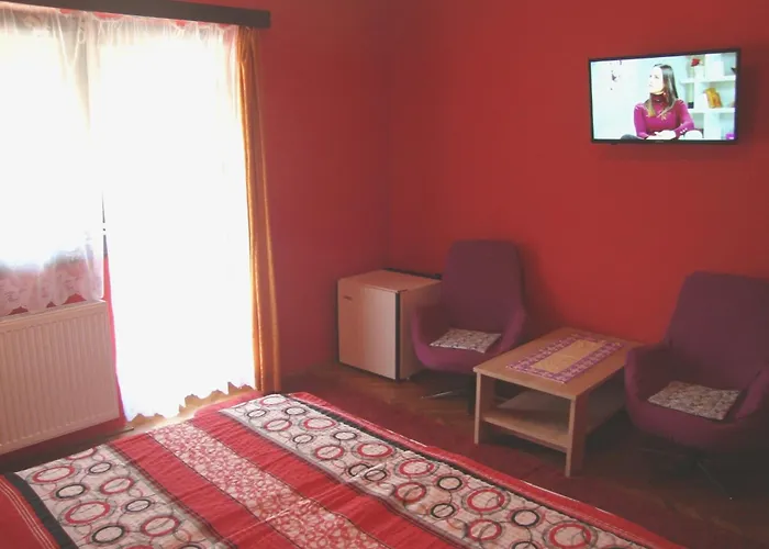 Fanni Vizkoezeli, Klimatizalt Vendeghaz *