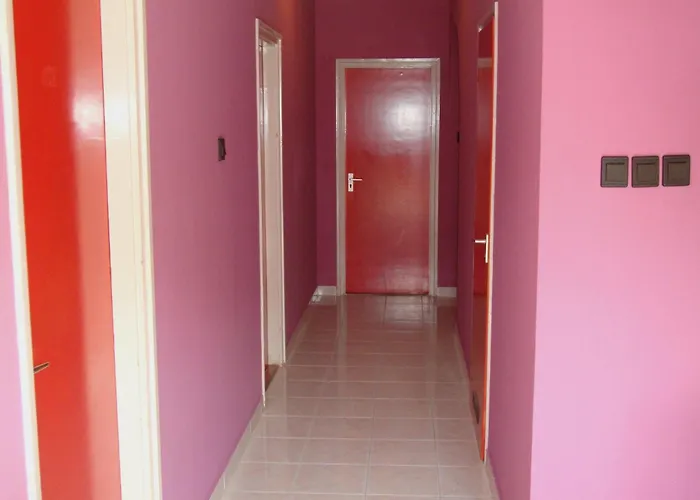 Fanni Vizkoezeli, Klimatizalt Vendeghaz