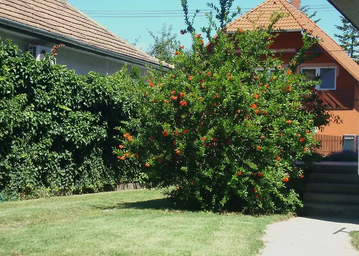 Fanni Vizkoezeli, Klimatizalt Vendeghaz *