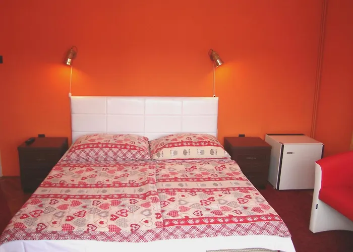 Fanni Vizkoezeli, Klimatizalt Vendeghaz