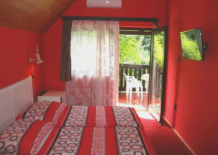 Fanni Vizkoezeli, Klimatizalt Vendeghaz *