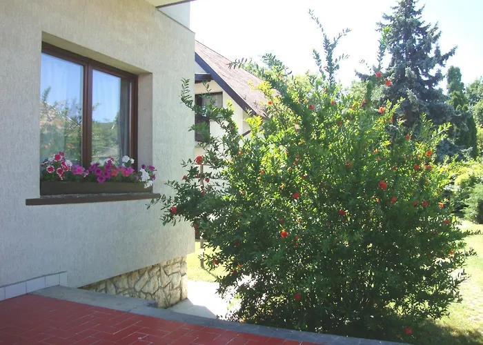 Apartmán Fanni Vizkoezeli, Klimatizalt Vendeghaz