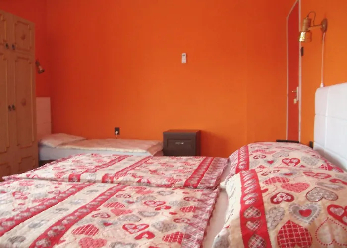 Fanni Vizkoezeli, Klimatizalt Vendeghaz *