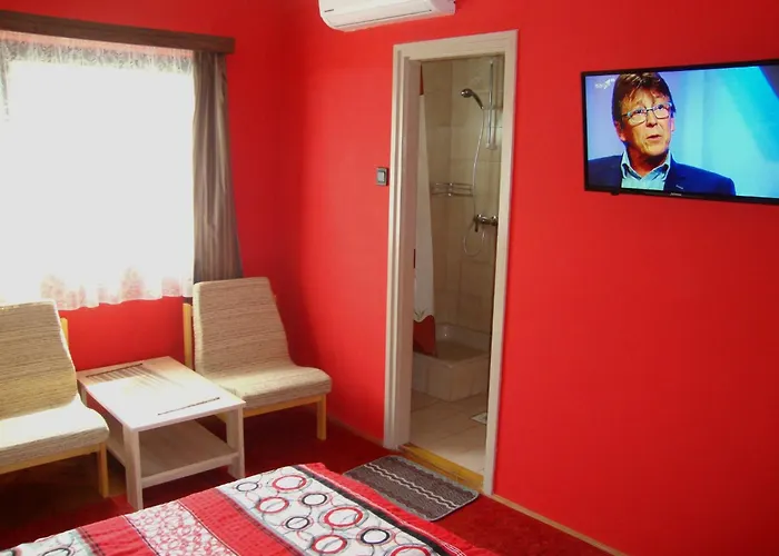 Fanni Vizkoezeli, Klimatizalt Vendeghaz *