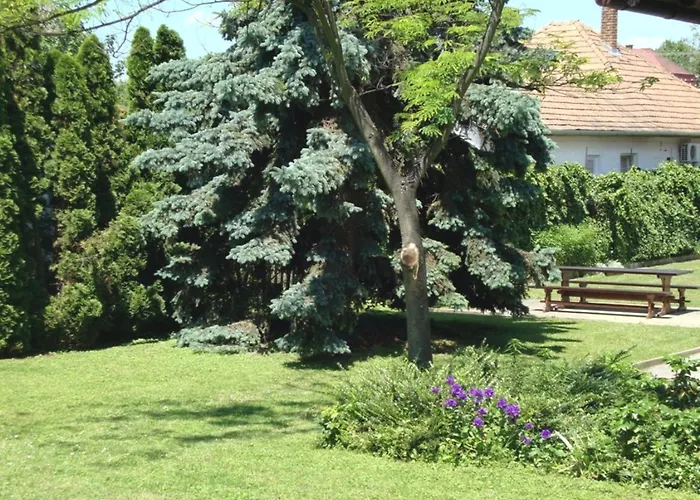 Fanni Vizkoezeli, Klimatizalt Vendeghaz *