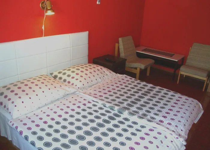 Fanni Vizkoezeli, Klimatizalt Vendeghaz Apartment